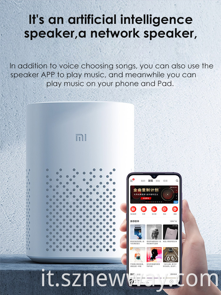 Xiaomi Speaker Play